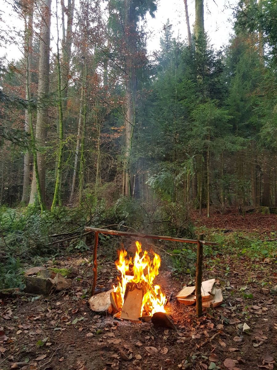 Lagerfeuer im Wald